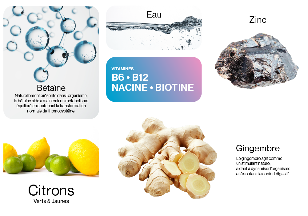 Vitamin Water - Axone RELOAD+